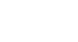 Disgen Logo